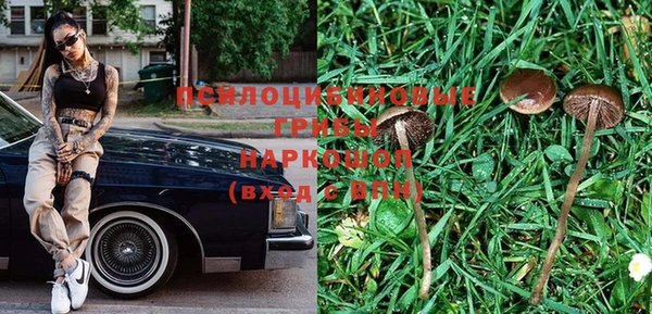 а пвп мука Верхний Тагил